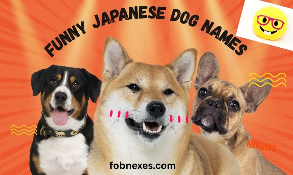 Funny Japanese Dog Names