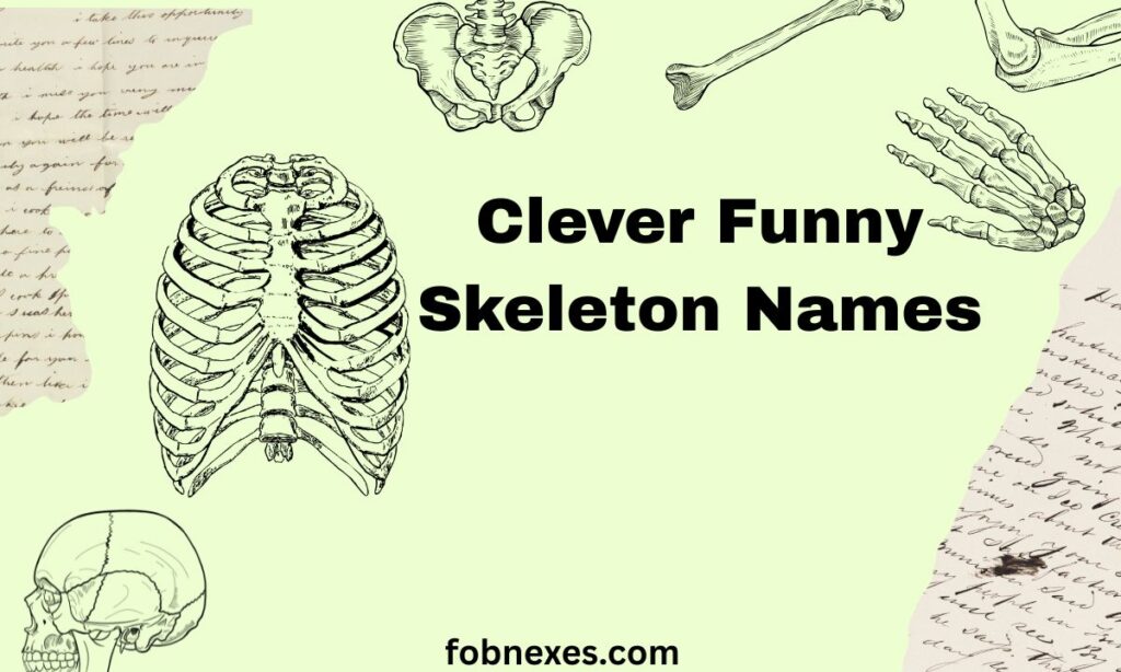 Funny Skeleton Names