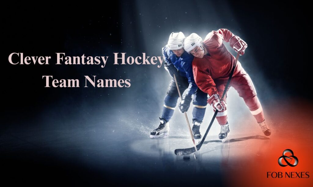 funny-hockey-team-names (4)
